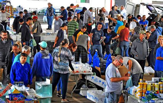 Mercado de peixes ornamentais da Craisa é opção para praticantes do aquarismo e lojistas