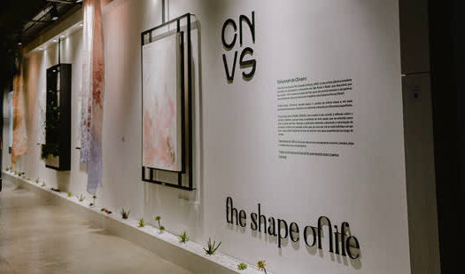 Crane Canvas apresenta The Shape Of Life