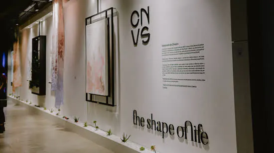 Crane Canvas apresenta The Shape Of Life