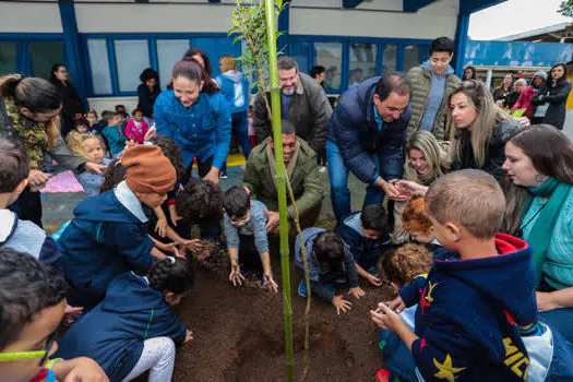 Creche de Santo André recebe plantio de árvores no Dia do Meio Ambiente