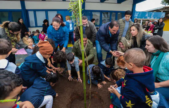 Creche de Santo André recebe plantio de árvores no Dia do Meio Ambiente