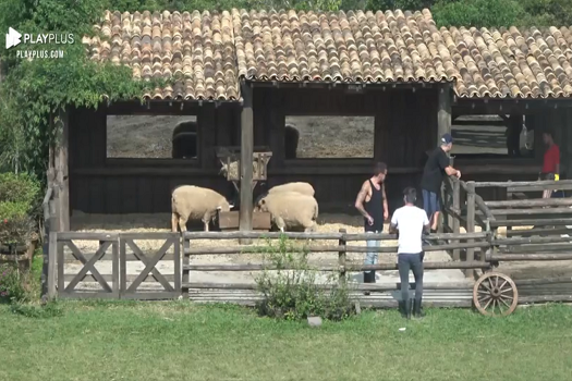 Animais 10 x 0 Peões