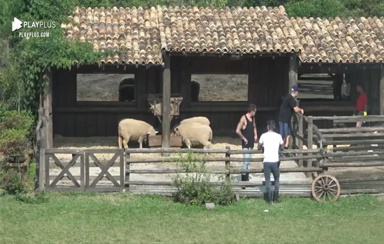 Animais 10 x 0 Peões