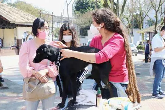 Meio Ambiente de Ribeirão Pires dá dicas de como cuidar dos PET’s em dias de chuva