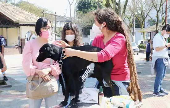 Meio Ambiente de Ribeirão Pires dá dicas de como cuidar dos PET’s em dias de chuva