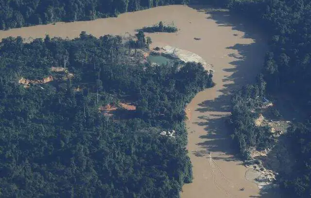 Cúpula: acordo deve evitar ponto de não retorno da Amazônia