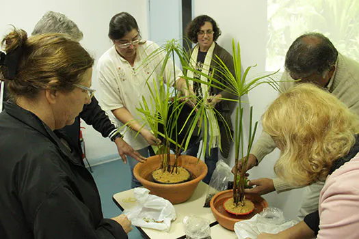 Flores comestíveis são tema da palestra do Clube de Jardinagem