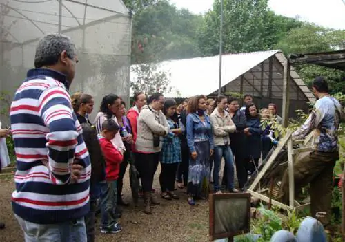 Diadema abre inscrições para curso de jardinagem