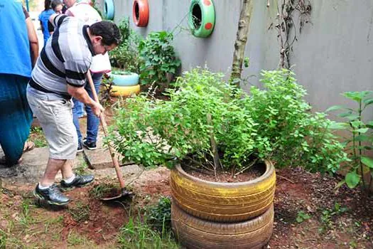 Curso de jardinagem muda vida de moradores de Diadema