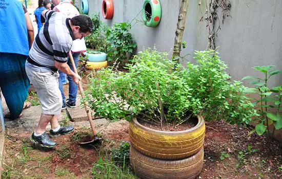 Curso de jardinagem muda vida de moradores de Diadema