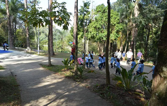 Semasa realiza minicurso sobre benefícios que a natureza proporciona para as crianças