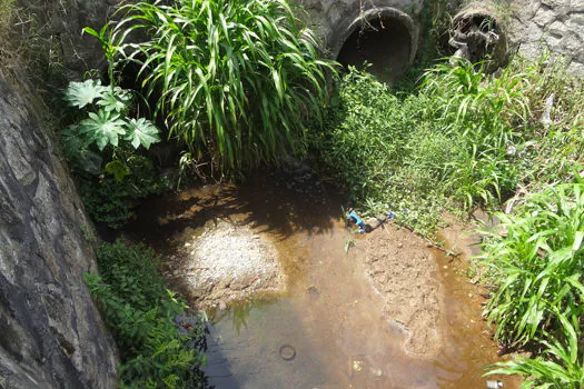 Semasa celebra Mês do Meio Ambiente com atividades virtuais