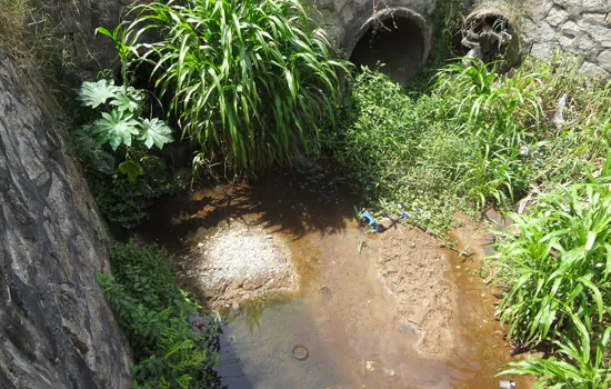 Semasa celebra Mês do Meio Ambiente com atividades virtuais