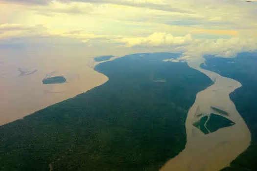 Dano ambiental é motivo mais recorrente para processos sobre meio ambiente em 2020