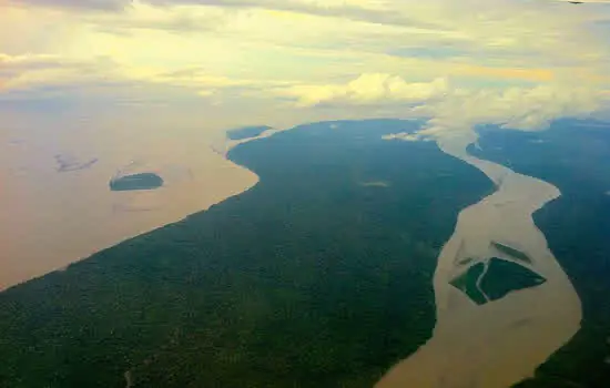 Dano ambiental é motivo mais recorrente para processos sobre meio ambiente em 2020