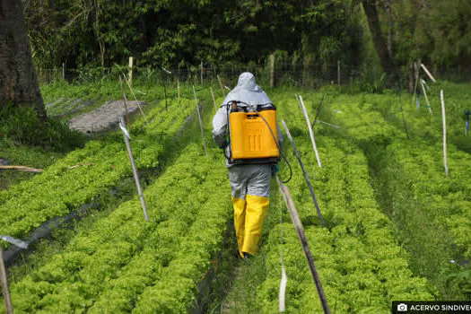 Sindiveg disponibiliza nova etapa de treinamento sobre defensivos agrícolas