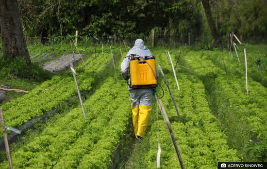 Sindiveg disponibiliza nova etapa de treinamento sobre defensivos agrícolas