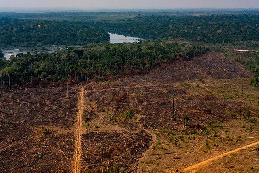 Amazônia não pega fogo e não tem nem um quarto de hectare desmatado