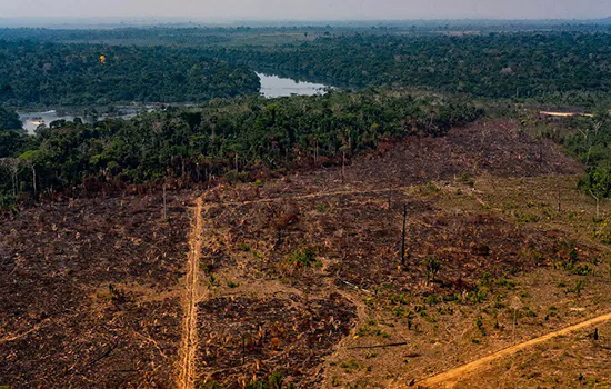 Amazônia não pega fogo e não tem nem um quarto de hectare desmatado