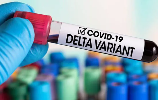 Paraná confirma 3 novos casos da variante Delta; Santa Catarina investiga