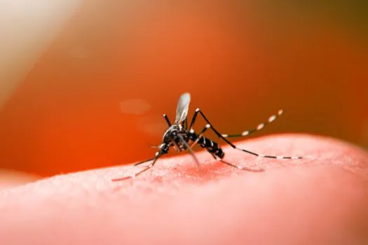 Cresce o número de casos de dengue no interior de São Paulo