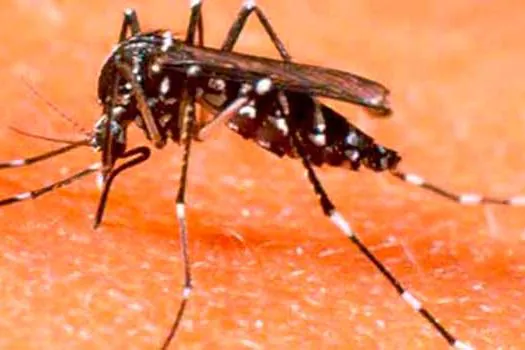 Mauá combate ao aedes aegypti com prevenção e orientação