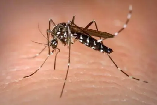 Escolas estaduais de São Bernardo aderem campanha de prevenção à Dengue