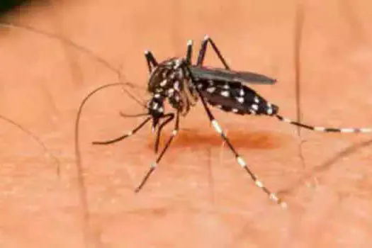 Passageiros do Terminal Piraporinha recebem ação de combate à dengue