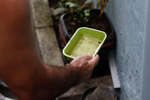 Casos de dengue na cidade de São Paulo chegam a 7.230