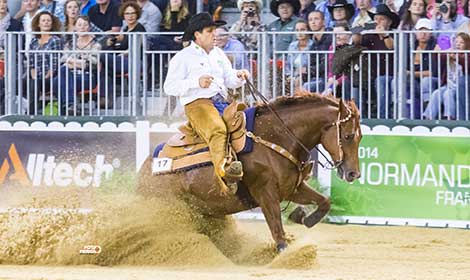 ANCR realizará Derby de Rédeas 2015 no começo de março!