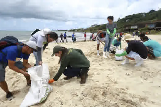 Desastre Ambiental: Batalha anônima para remover o óleo em Pernambuco