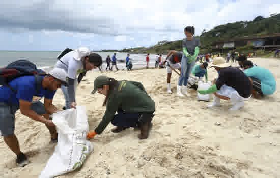 Desastre Ambiental: Batalha anônima para remover o óleo em Pernambuco