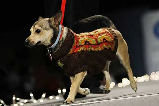 Anhanguera realiza Desfile de Moda PET em São Bernardo