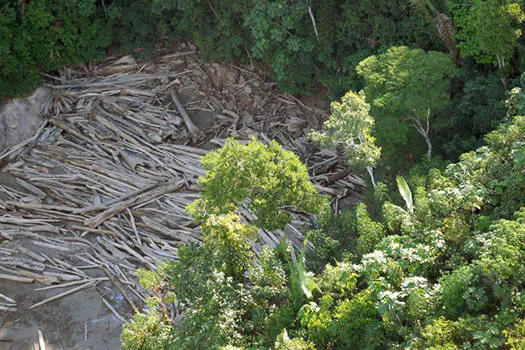 AGU vai à Justiça em busca de R$ 893 milhões de desmatadores da Amazônia