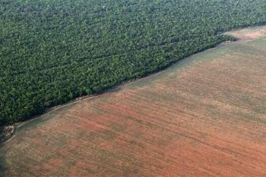 Desmatamento na Amazônia em abril atinge o pior índice para o mês desde 2016
