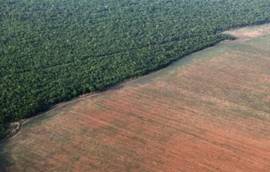 Desmatamento na Amazônia em abril atinge o pior índice para o mês desde 2016