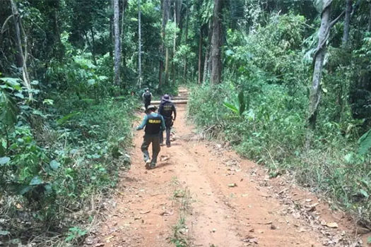 PF descobre 15 mil hectares de terra indígena desmatados e sob ação de grileiros