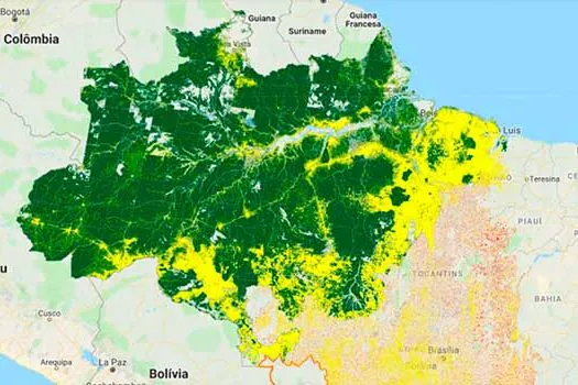 Desmatamento da Amazônia sobe 29,5% no ano e chega perto de 10 mil km²