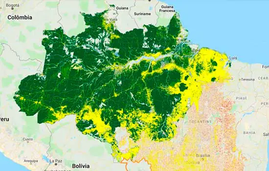 Desmatamento da Amazônia sobe 29