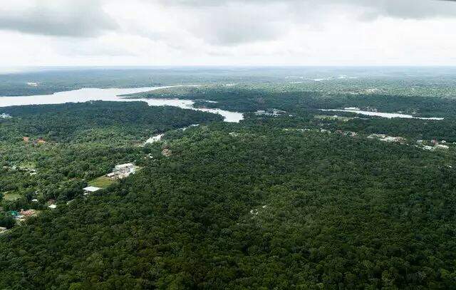 Greenpeace Brasil leva propostas de preservação da Amazônia para encontros em Belém