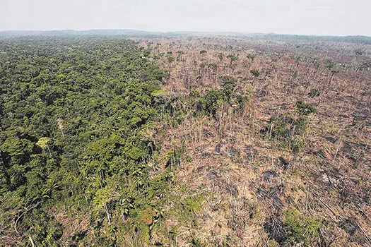 Desmate em unidades protegidas sobe 84% e supera média de toda a Amazônia