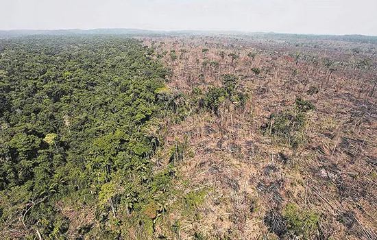 Desmate em unidades protegidas sobe 84% e supera média de toda a Amazônia