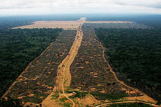 Desmatamento na Amazônia aumenta 15% e chega a 4.565 km²