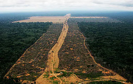 Desmatamento na Amazônia aumenta 15% e chega a 4.565 km²