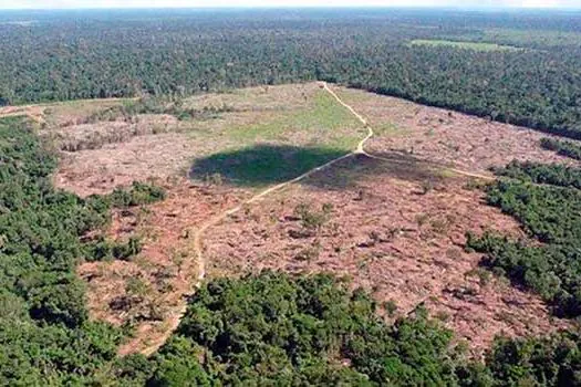 MEIO AMBIENTE: AGU obtém bloqueio de bens de mais de R$ 302 milhões de desmatadores,