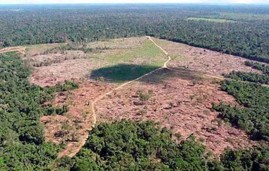 MEIO AMBIENTE: AGU obtém bloqueio de bens de mais de R$ 302 milhões de desmatadores