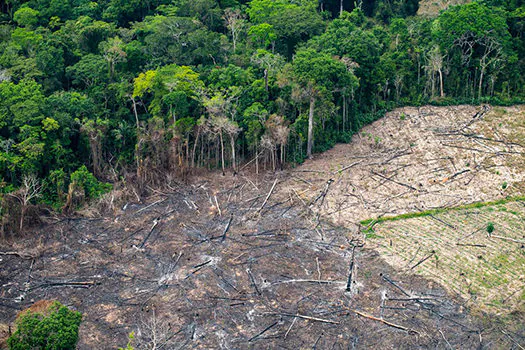 Com pior cenário da série para maio, Amazônia bate recorde de desmate pelo 3º mês