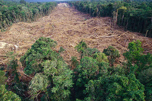 Salles e Bolsonaro têm 5 dias para apresentarem informações sobre desmatamento na Amazônia