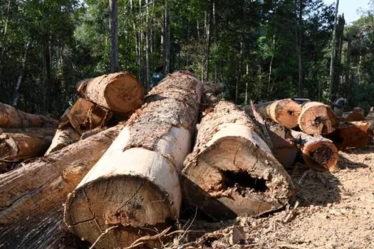 Mato Grosso aplica R$ 712 milhões em multas por desmatamento ilegal até maio