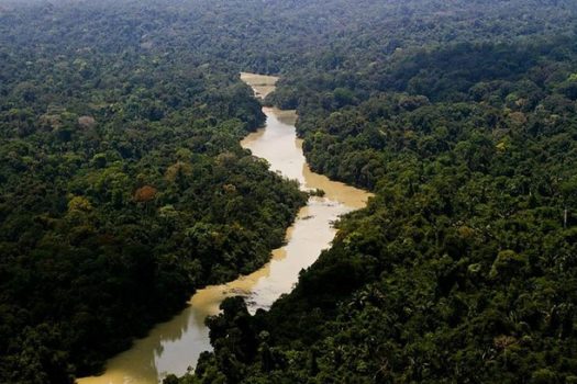 União Europeia doa R$ 120 milhões para o Fundo Amazônia